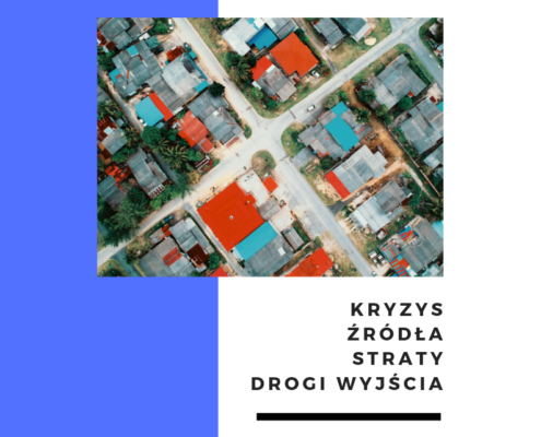 Analiza nr 1